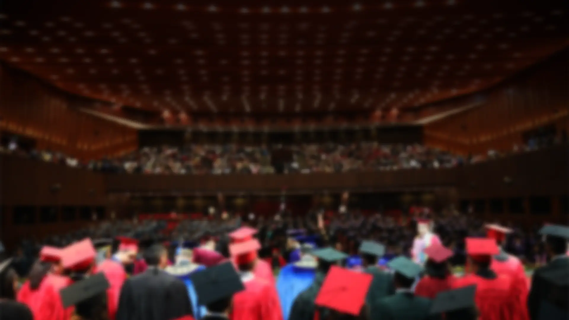 Programme illustration