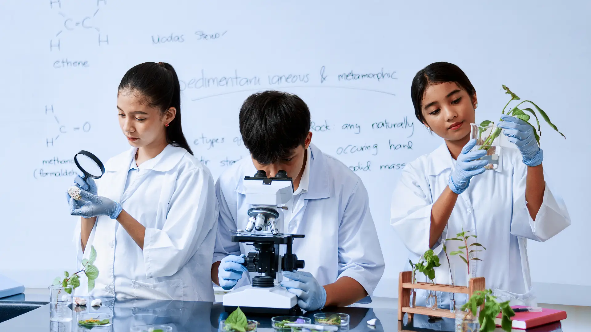 International Foundation in Science